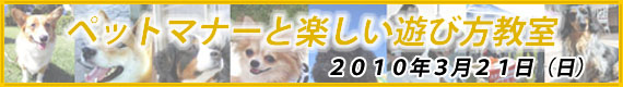 ペットマナーと楽しい遊び方教室