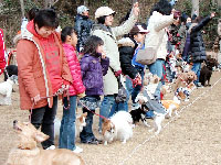 森林公園
