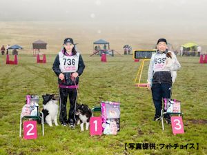 ミニチュア総合(ノーリード)