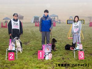 オープンハイスピード(リード付)