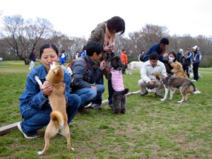 尾っぽふりコンテストイメージ