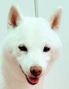 雪ちゃん
