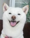 雪ちゃん