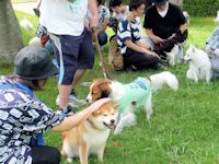 クリーンウォーキング