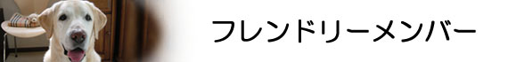 フレンドリーメンバーイメージ