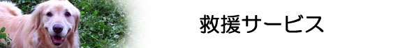 救援活動イメージ