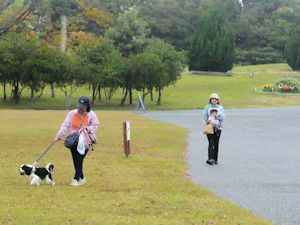 清掃活動