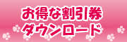 割引チラシ
