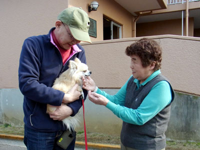 service dogs for adoption near me